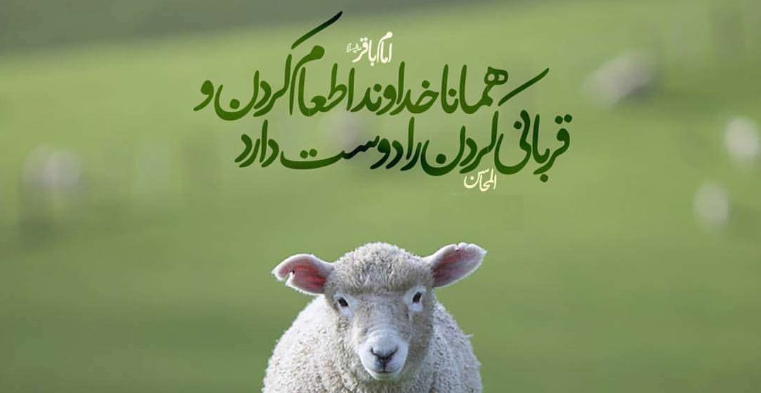 عید قربان 1401 چه روزی است؟